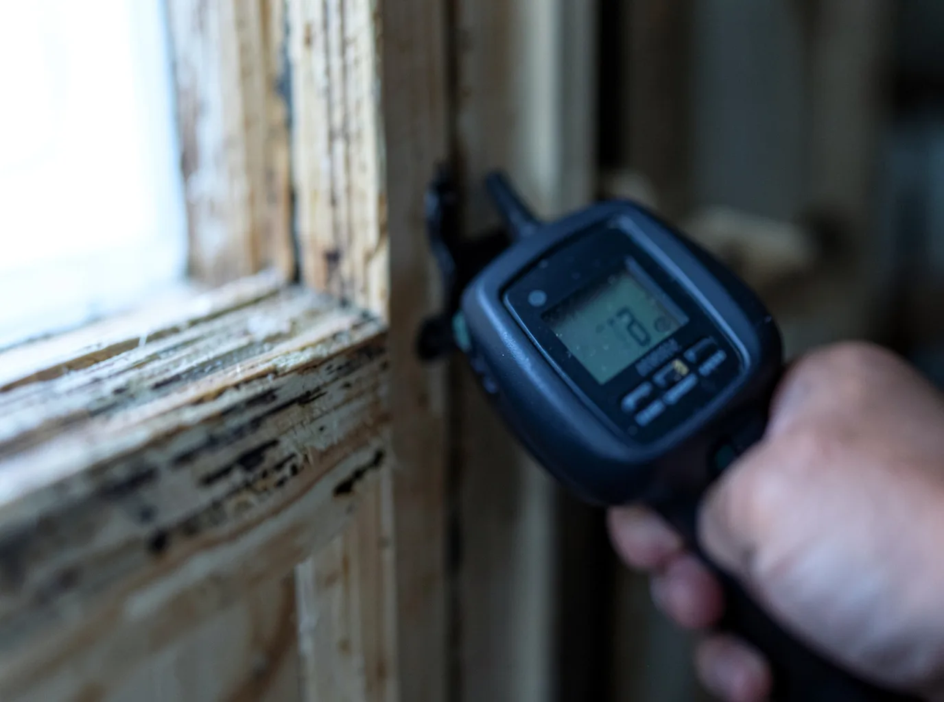 Moisture Inspection And Documentation in Cohasset, MA